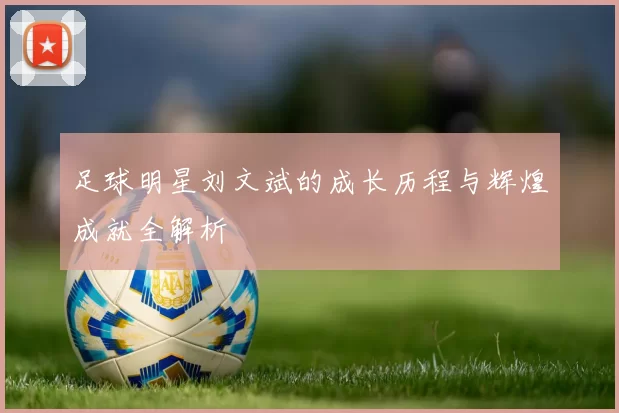 足球明星刘文斌的成长历程与辉煌成就全解析