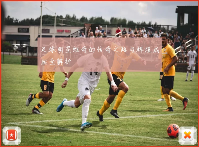 足球明星维奇的传奇之路与辉煌成就全解析