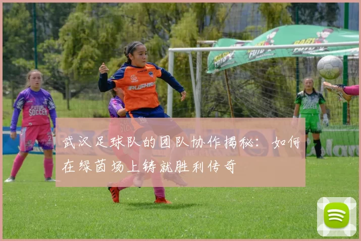 武汉足球队的团队协作揭秘：如何在绿茵场上铸就胜利传奇