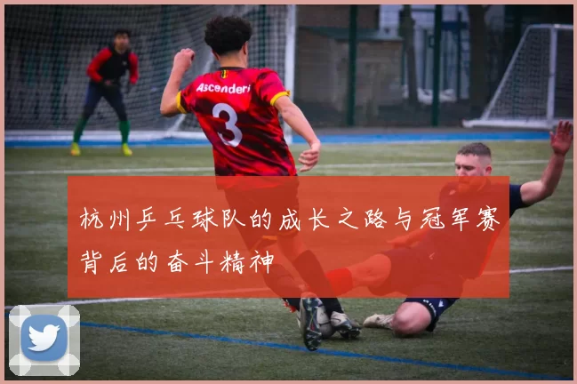 杭州乒乓球队的成长之路与冠军赛背后的奋斗精神