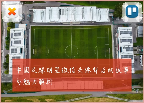 中国足球明星微信头像背后的故事与魅力解析