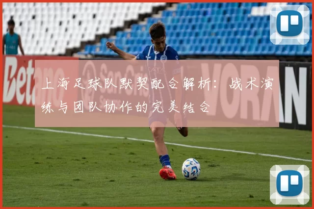 上海足球队默契配合解析：战术演练与团队协作的完美结合