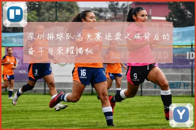 深圳排球队总决赛逆袭之旅背后的奋斗与荣耀揭秘