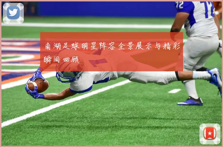 南湖足球明星阵容全景展示与精彩瞬间回顾